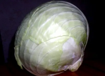 varză