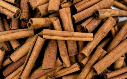 scorțișoară