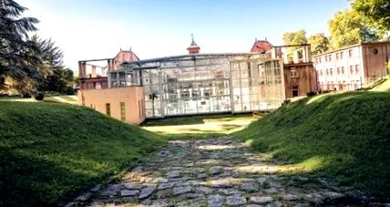 nőgyógyászat