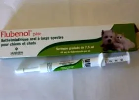 vindecat