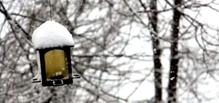 взимку