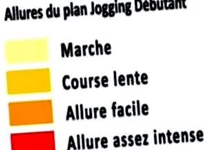 program