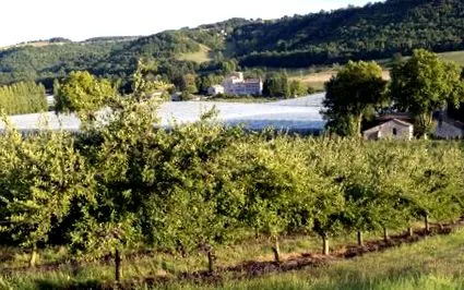 szilváig