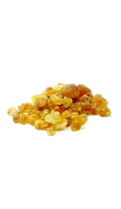 gumă