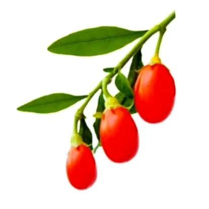 goji előnyei
