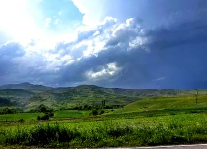 roulad