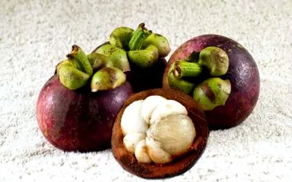 ooreka