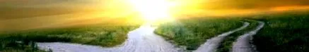 тулуза отслабване
