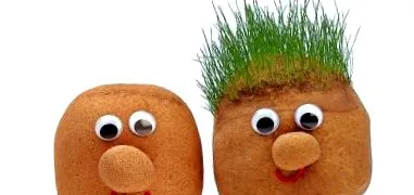 занаят