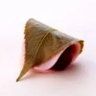 mimagusta