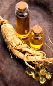 ginseng ginseng
