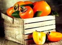 persimmon