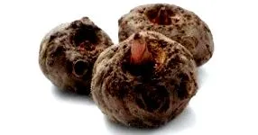 konjac