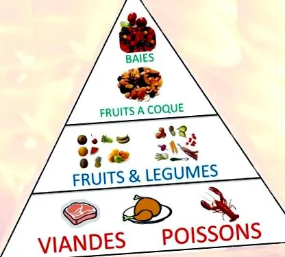 paleo-diéta