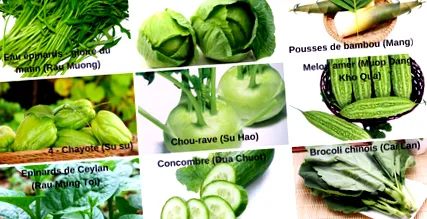 legume