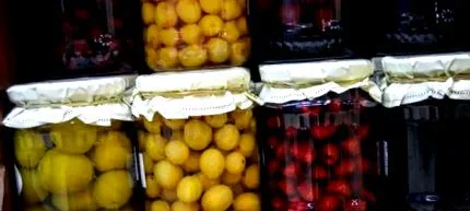 alimente fermentate