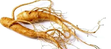 ginseng amelyet