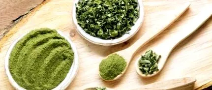 moringa