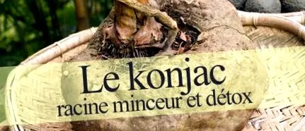 konjac rădăcină