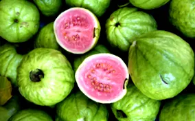 cambogia
