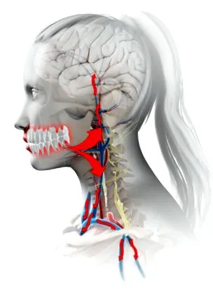 clinique