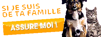 greutățile
