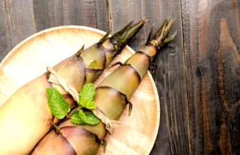 lăstari