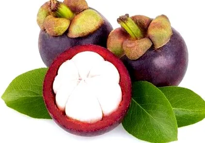 mangosztán