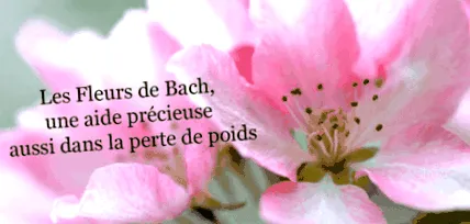 pierderea
