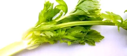 zeller