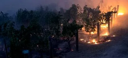napa