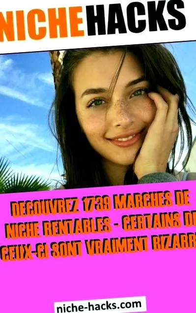 nișe marketing
