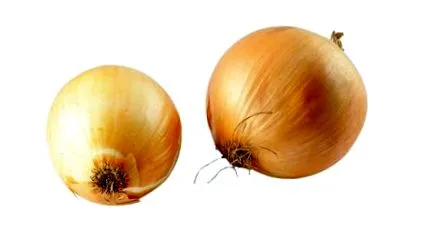 egészségünk