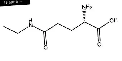 aminosavnak aminosavnak