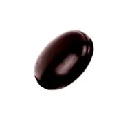 coenzima