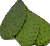 karcsúsító