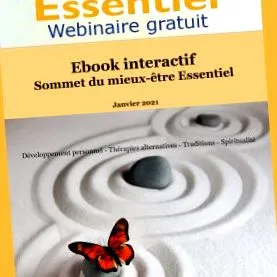 ebook ideális