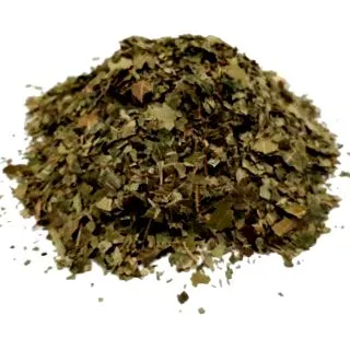 azadirachta Azadirachta indica