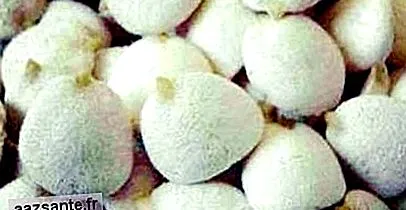 indiai