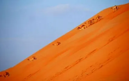 sands