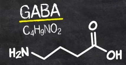 gaba