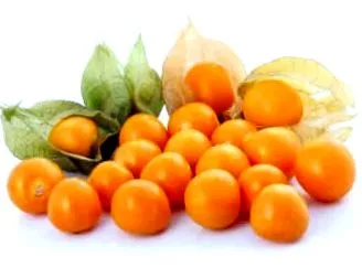 physalis
