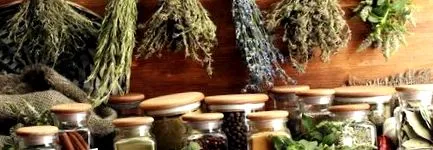 categorii plante