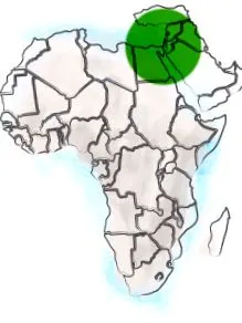 eredete adagolása