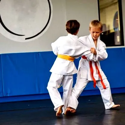 judo