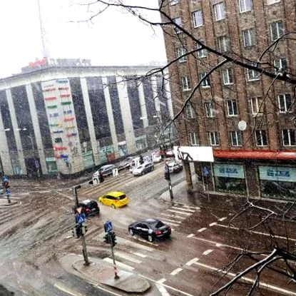 естонської