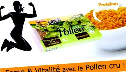 pollen pollen