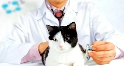 doctissimo