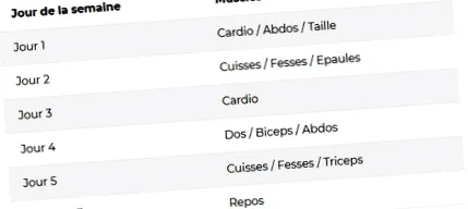 program