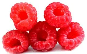 cambogia
